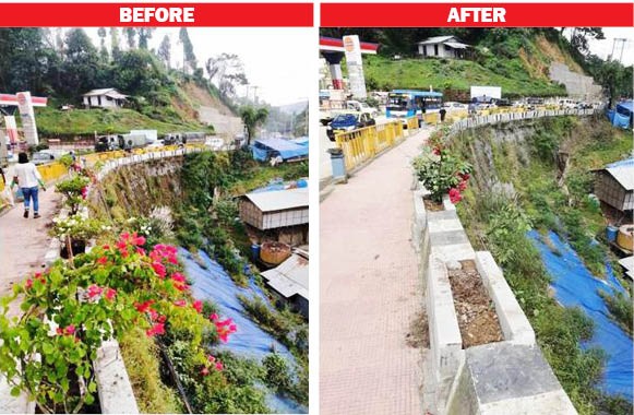 The before and after images of matured plants uprooted and taken away from opposite SKV Petrol Pump, Kohima on October 4.